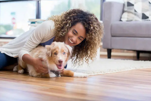 Services istockphoto 1016654612 612x612