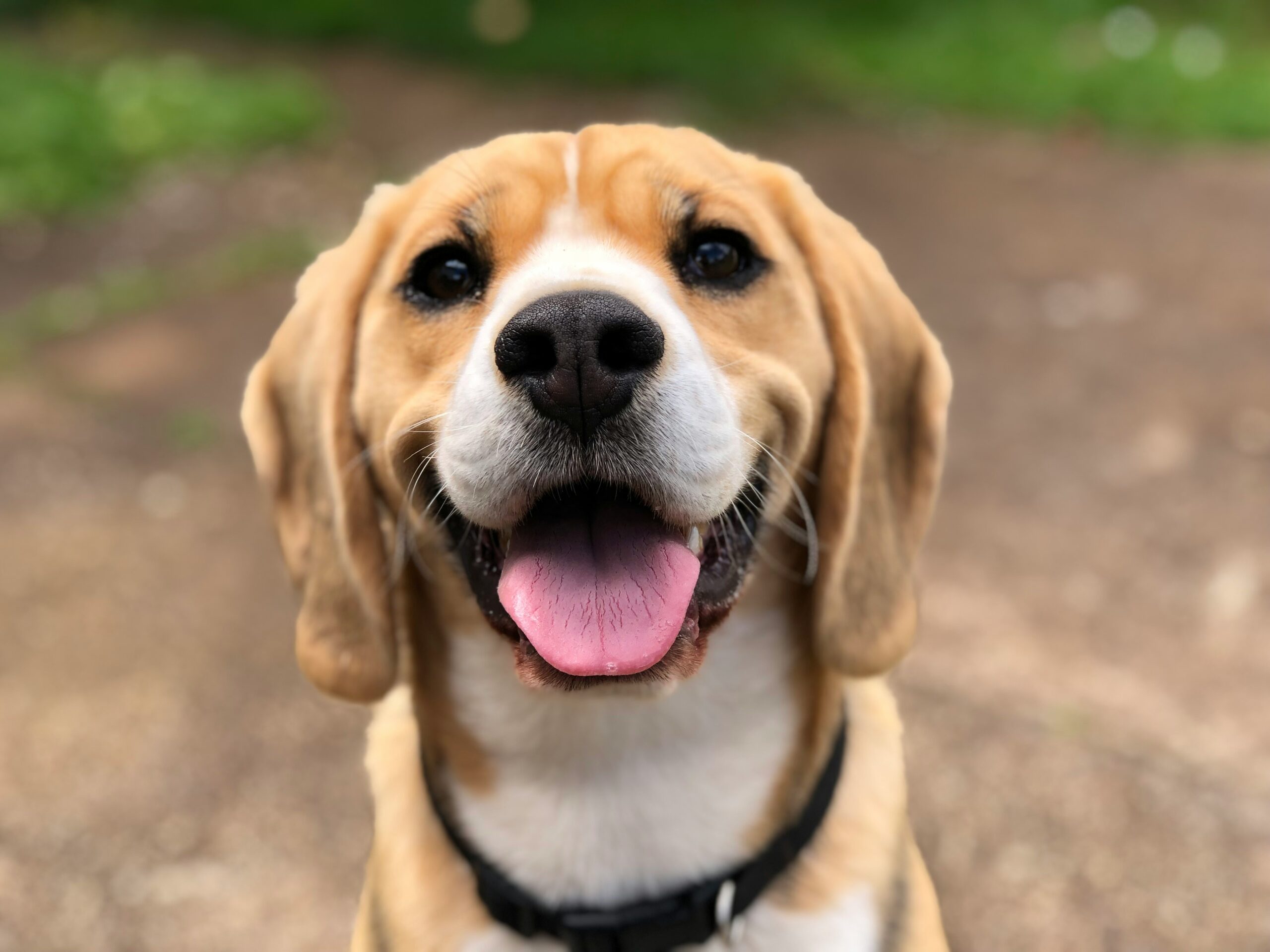 Services milli 2l0cwtpcchi unsplash