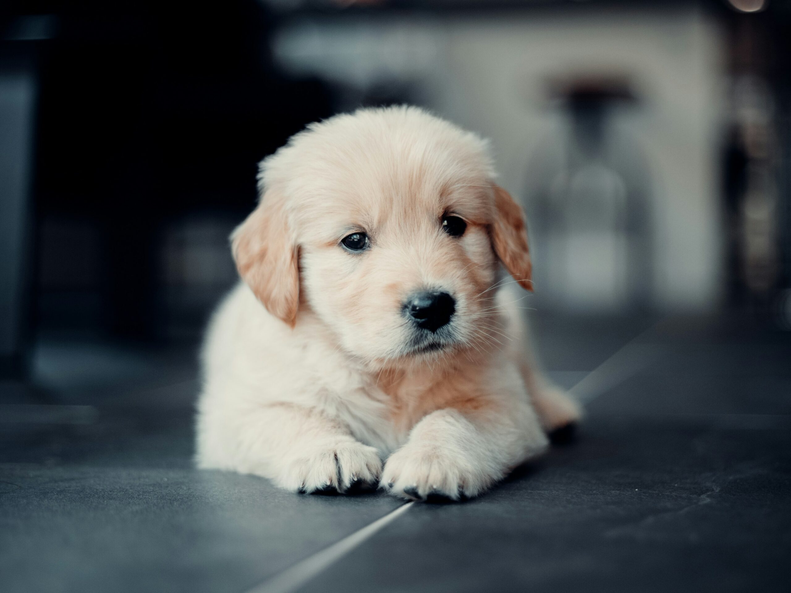Services nick van der vegt apvb8kmih5w unsplash